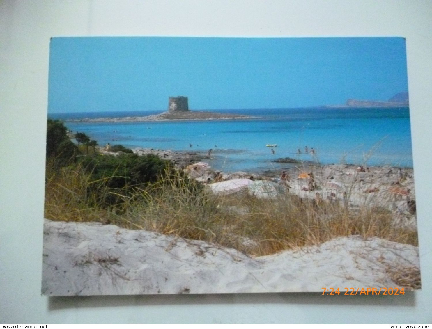 Cartolina Viaggiata "STINTINO La Pelosa" 1992 - Sassari