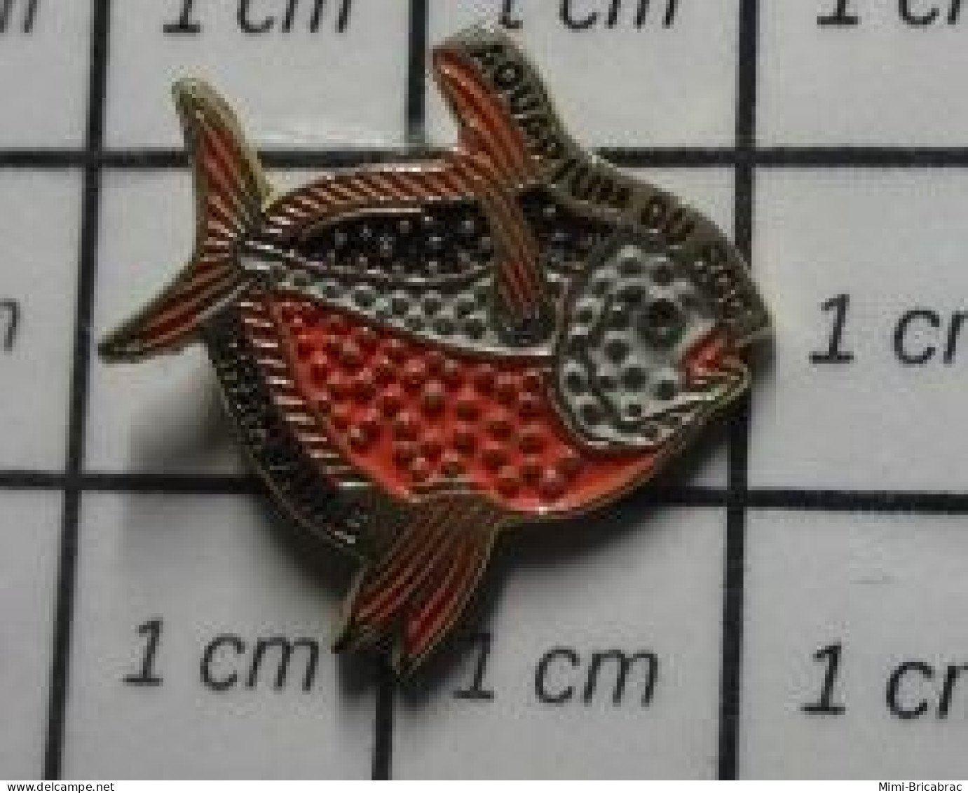 412F Pin's Pins / Beau Et Rare : ANIMAUX / POISSON EXOTIQUE NOIR BLANC ORANGE - Animals