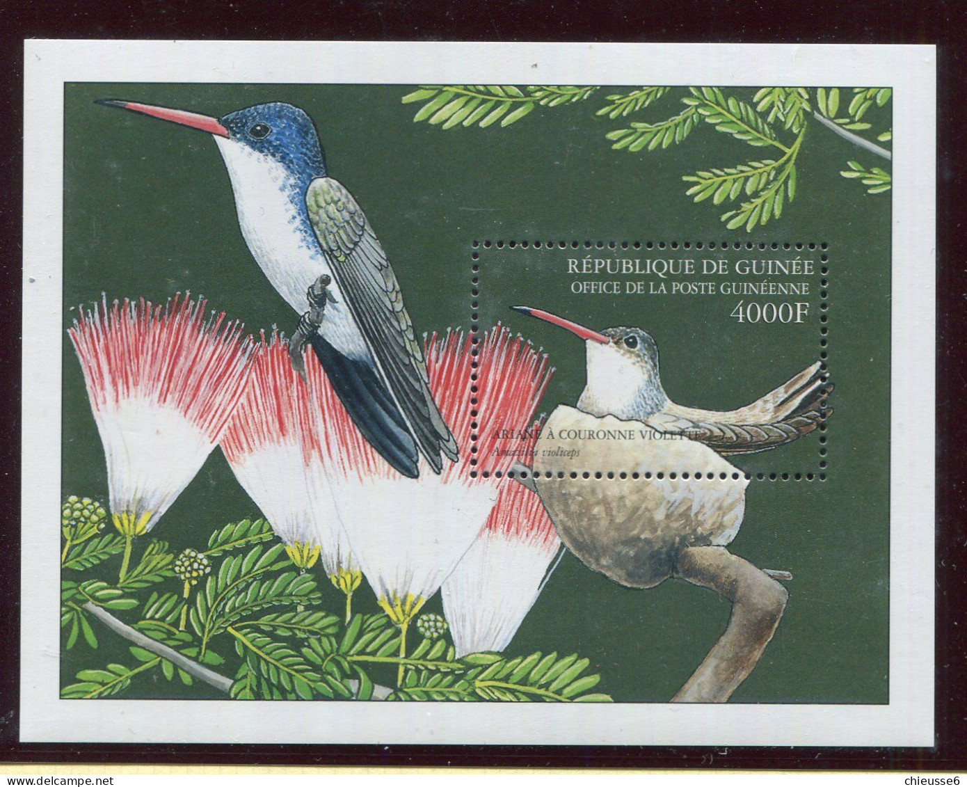 Guinée ** Bloc 210AC - Oiseau - Guinea (1958-...)