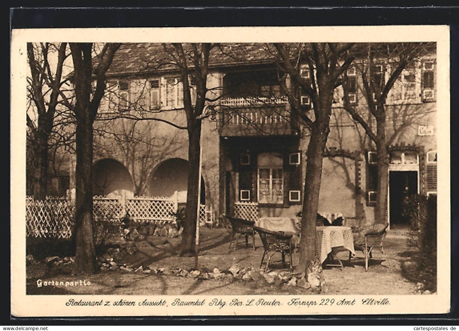 AK Eltville, Restaurant Zur Schönen Aussicht L. Reuter Im Rauental  - Eltville