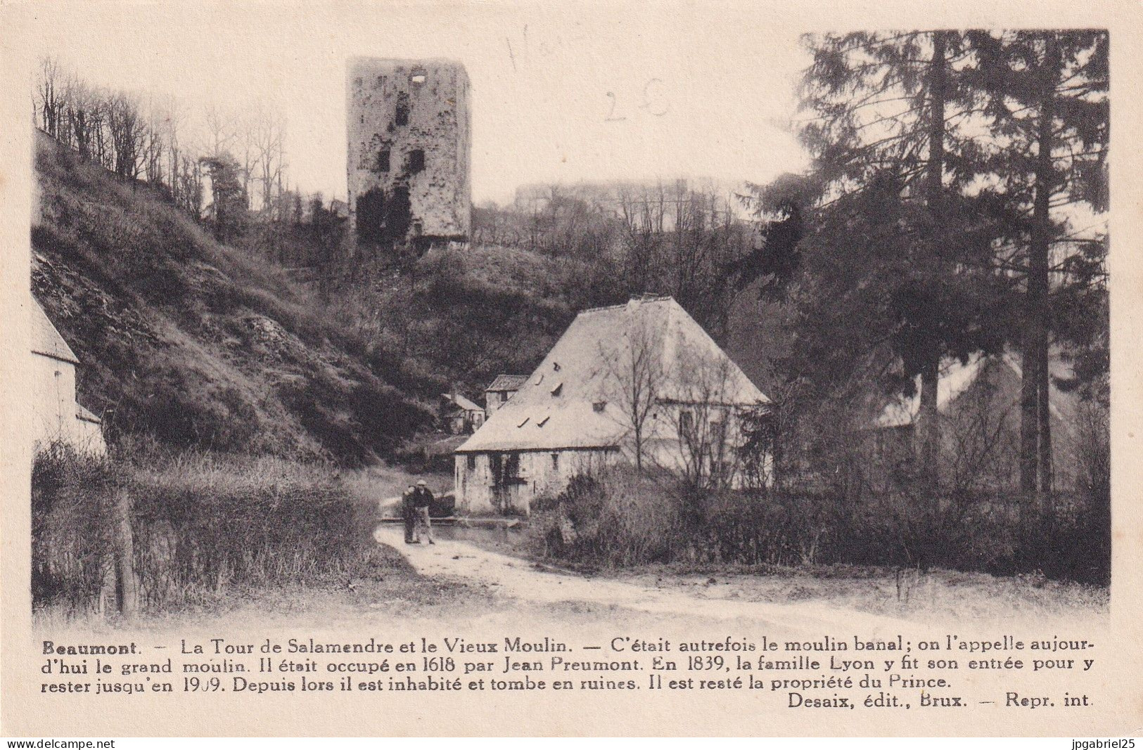 DEND Beaumont La Tour De Salamandre Et Le Vieux Moulin - Beaumont