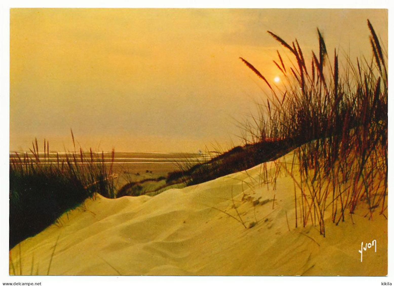 CPSM / CPM 10.5 X 15 Coucher De Soleil Dans Les Dunes - Contraluz