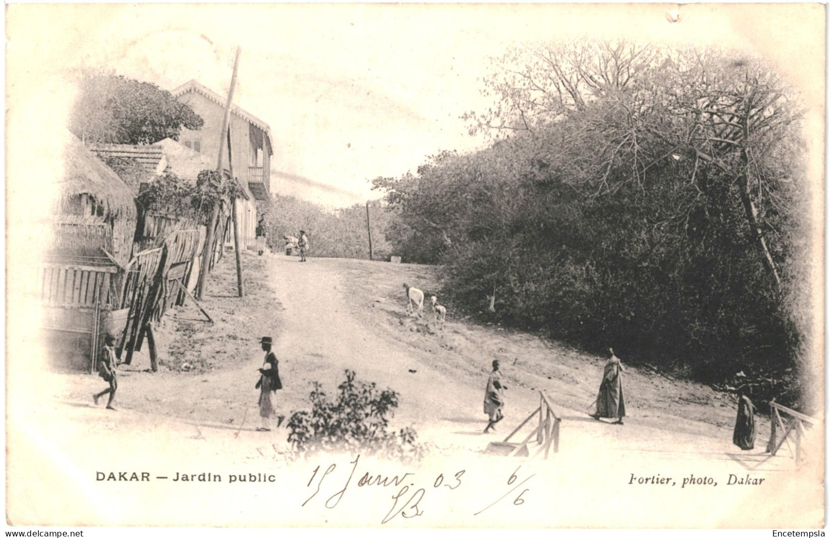 CPA Carte Postale Sénégal Dakar Jardin Public 1903  VM79884ok - Senegal