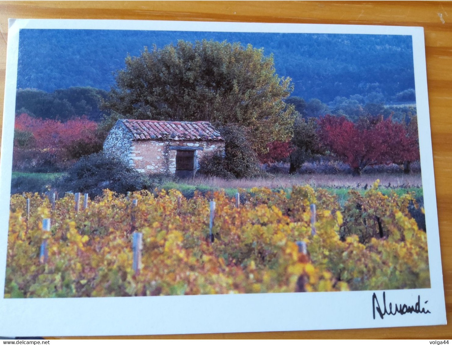 CP - Images Et Lumieres -Appellation Provence - Photo Alessandri -1991 -Ref 231 - Other & Unclassified