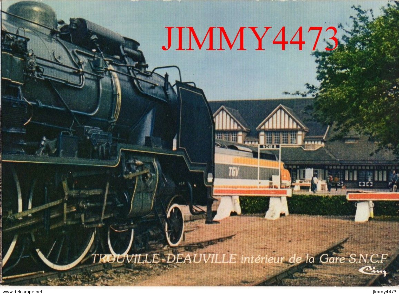 CPM - TROUVILLE-DEAUVILLE - Intérieur De La Gare S.N.C.F. - Pacific 231-G. - T.G.V. 26.2.1981 - Phot. CIM - Stazioni Con Treni