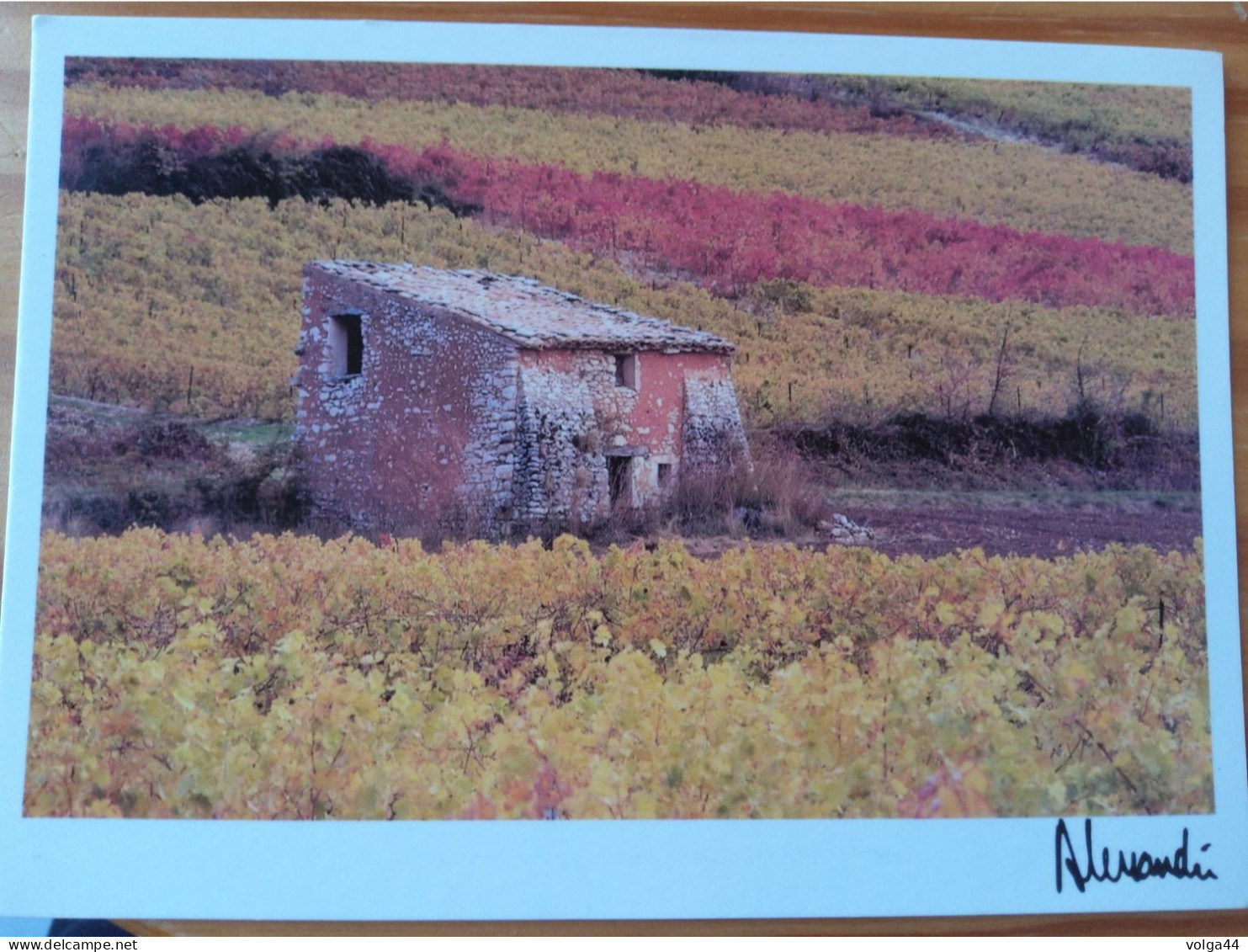 CP - Images Et Lumieres - Provence - Pierres Et Feuilles - Photo Alessandri -1992 -Ref 245 - Sonstige & Ohne Zuordnung