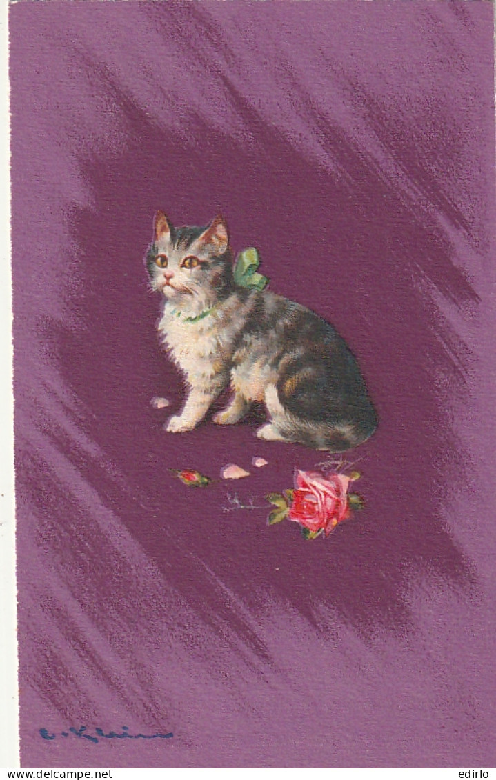 *** CHAT  *** CHATS CHATONS  *--  Par Illustrateur  Violine Klein Chat Et Roses  Superbe   - Klein, Catharina