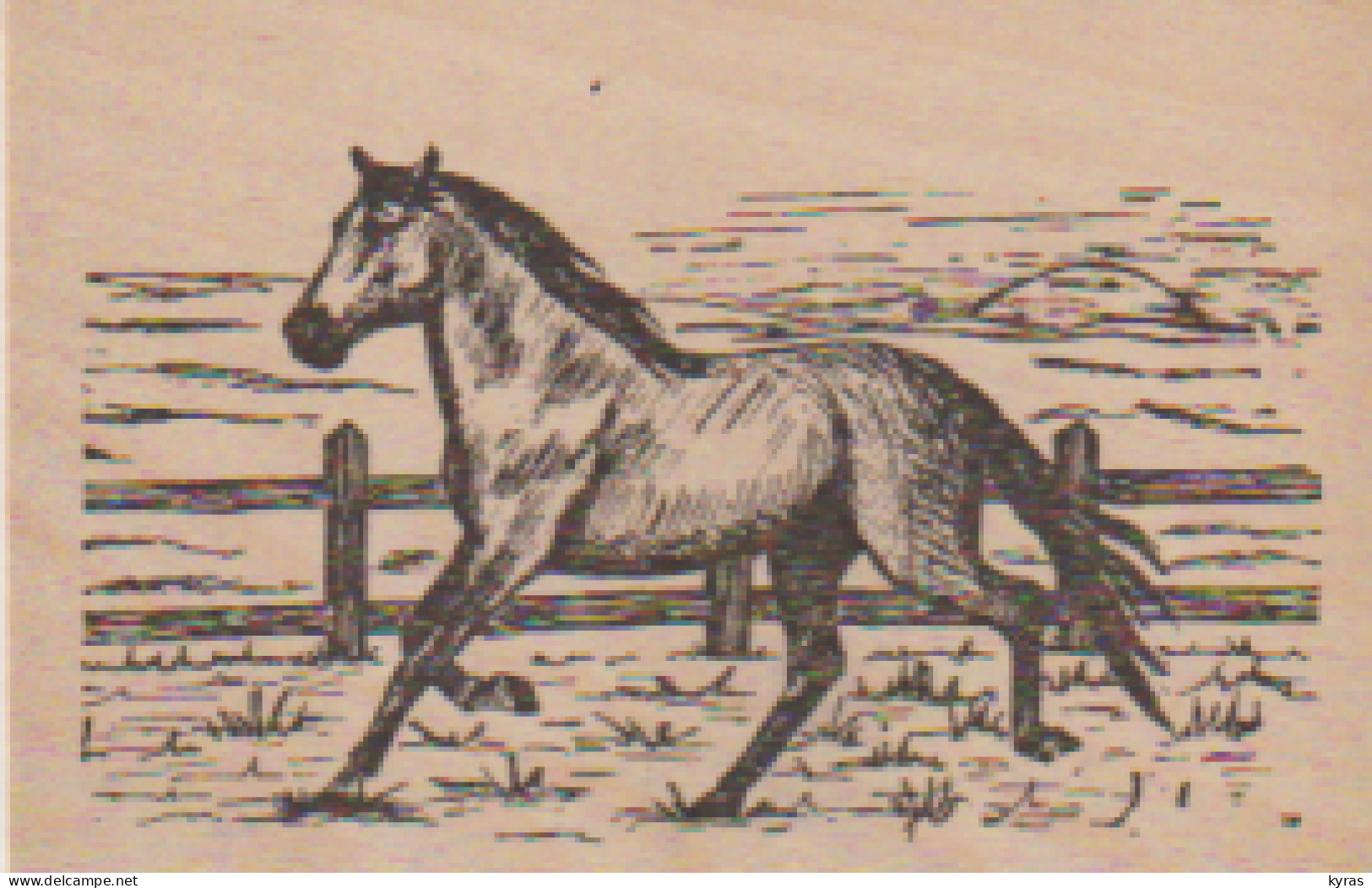 Carte En Bois 9x14. CHEVAL Dans Enclos - Other & Unclassified