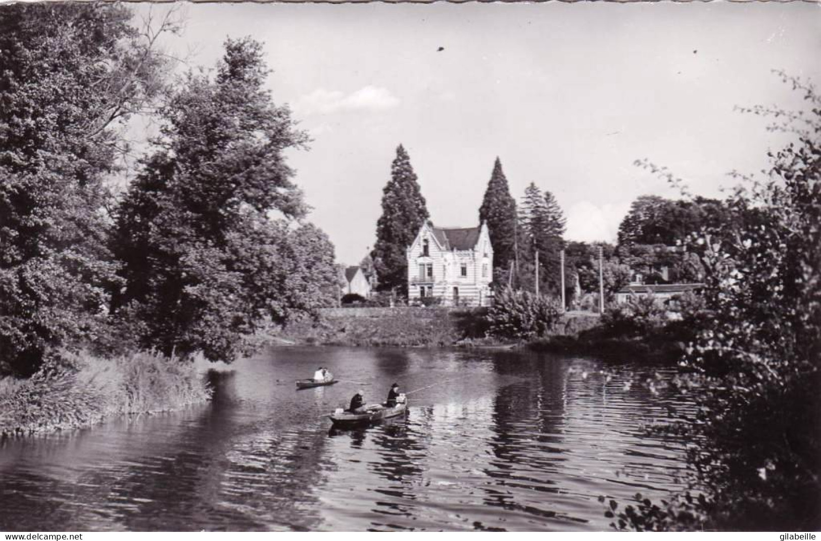 37 - Indre Et Loire - SAINT AVERTIN - Les Bords Du Cher  - Saint-Avertin