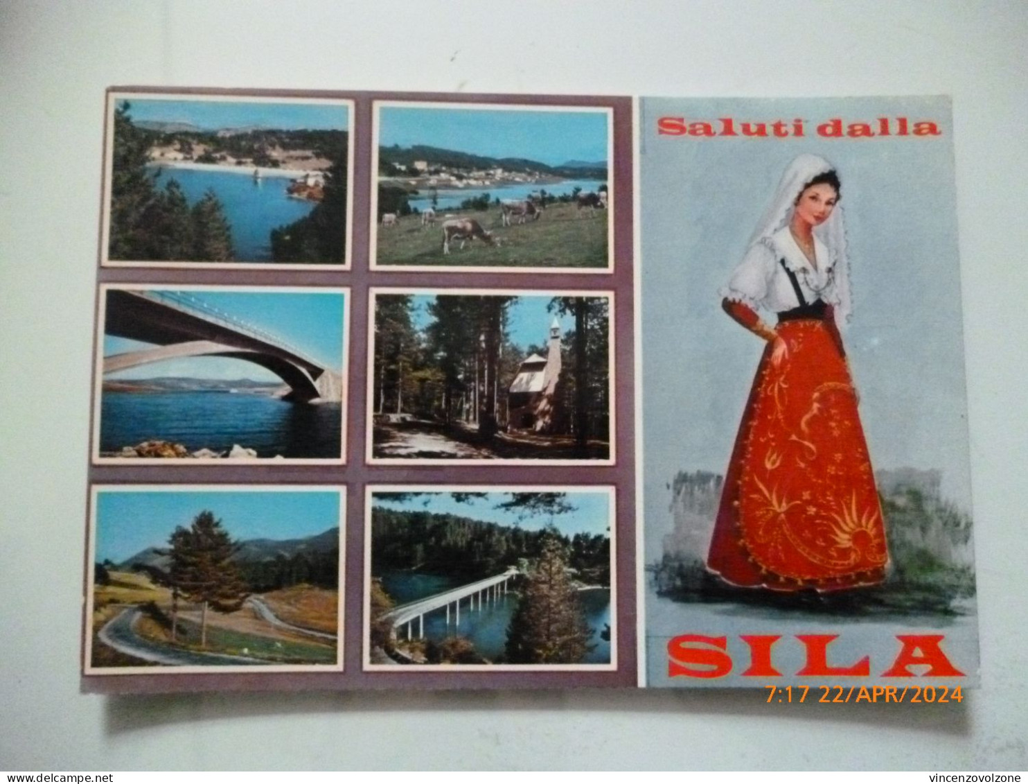 Cartolina Viaggiata "Saluti Dalla SILA" Vedutine  1967 - Cosenza