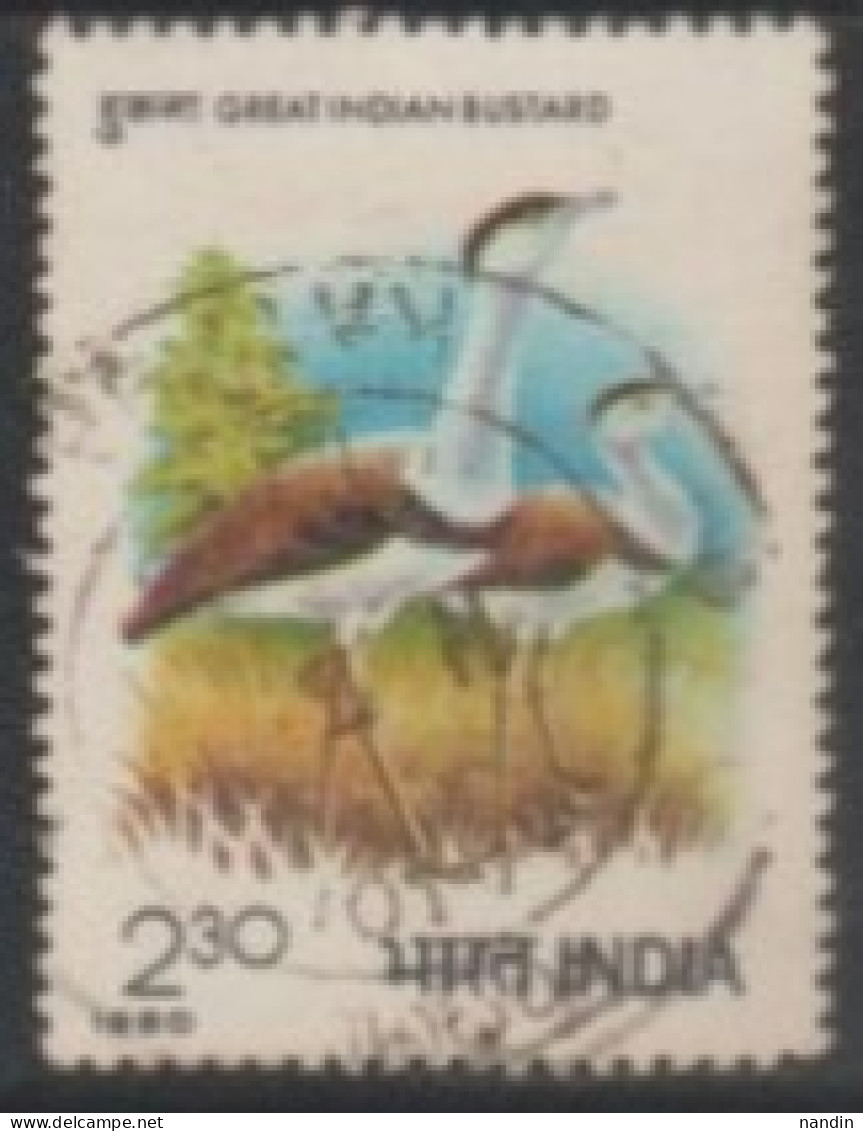 1980 INDIA USED STAMP ON BIRD/ International Symposium On Bustards, Juipur/Choriotis Nigriceps-Great Indian Bustard - Storchenvögel