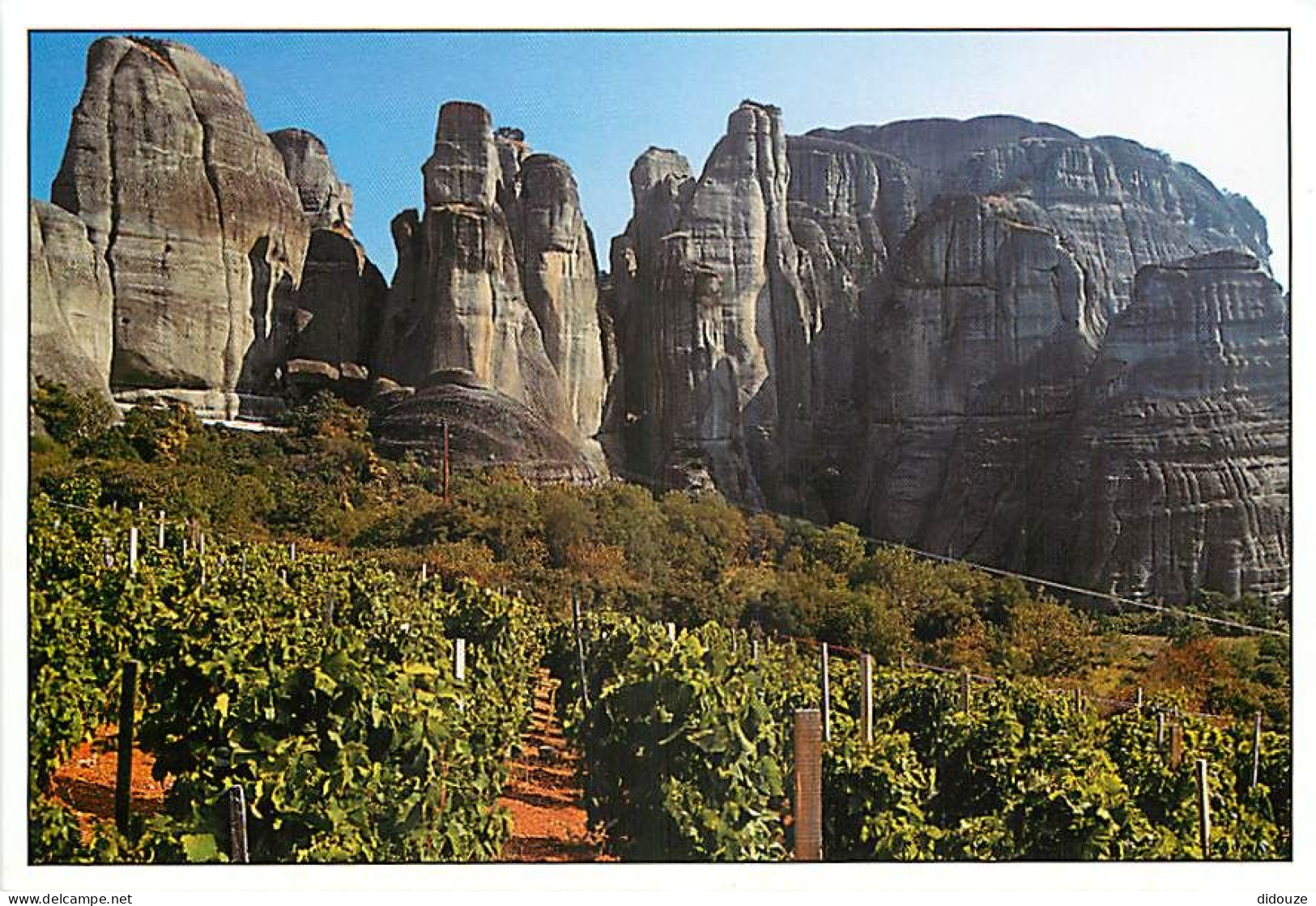 Vignes - Un Des Plus Vieux Vignobles Du Monde, Au Pied Des Monts Météore En Thessalie En Grèce - CPM - Carte Neuve - Voi - Vines