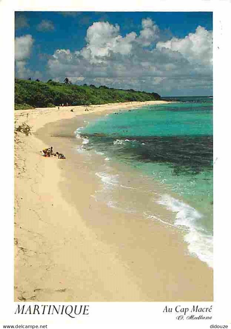 Martinique - Le Marin - Plage Du Cap Macré - CPM - Voir Scans Recto-Verso - Le Marin