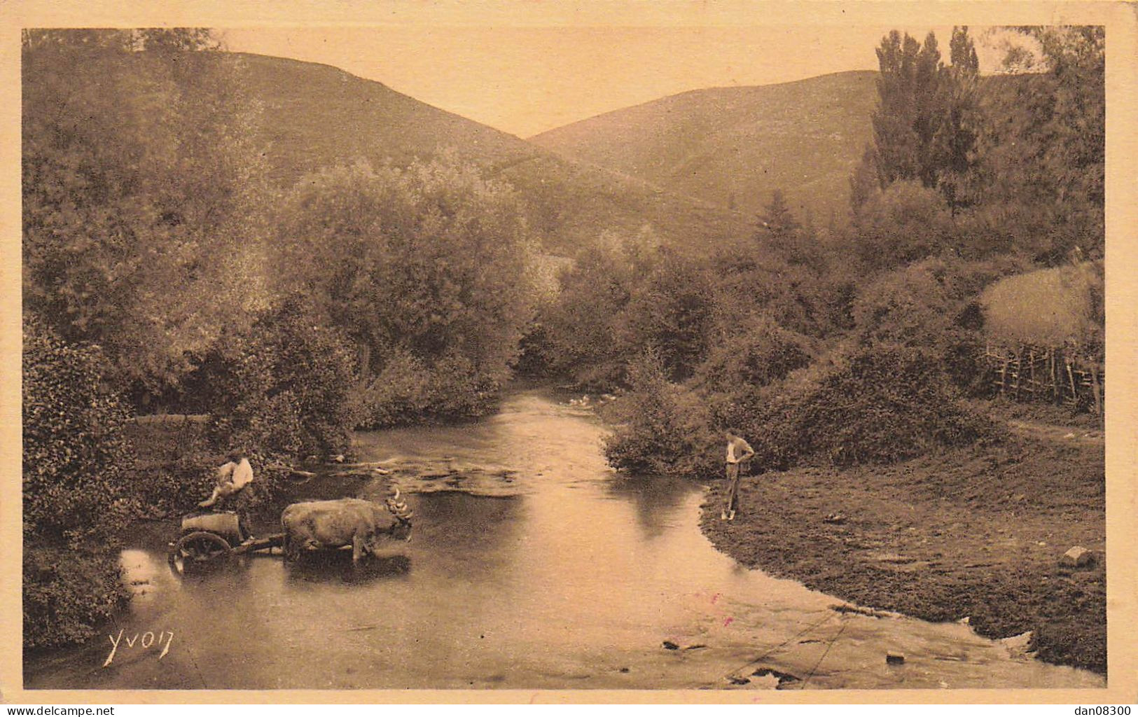 LES PYRENEES LA CORVEE D'EAU ATTELAGE DE BOEUFS - Spannen