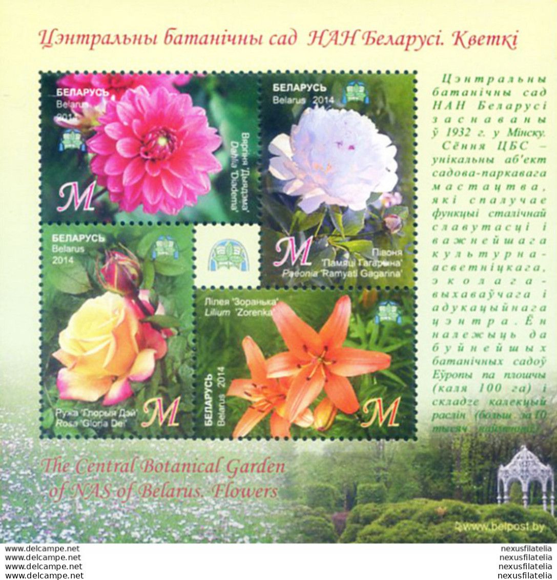 Flora. Fiori 2014. - Bielorussia