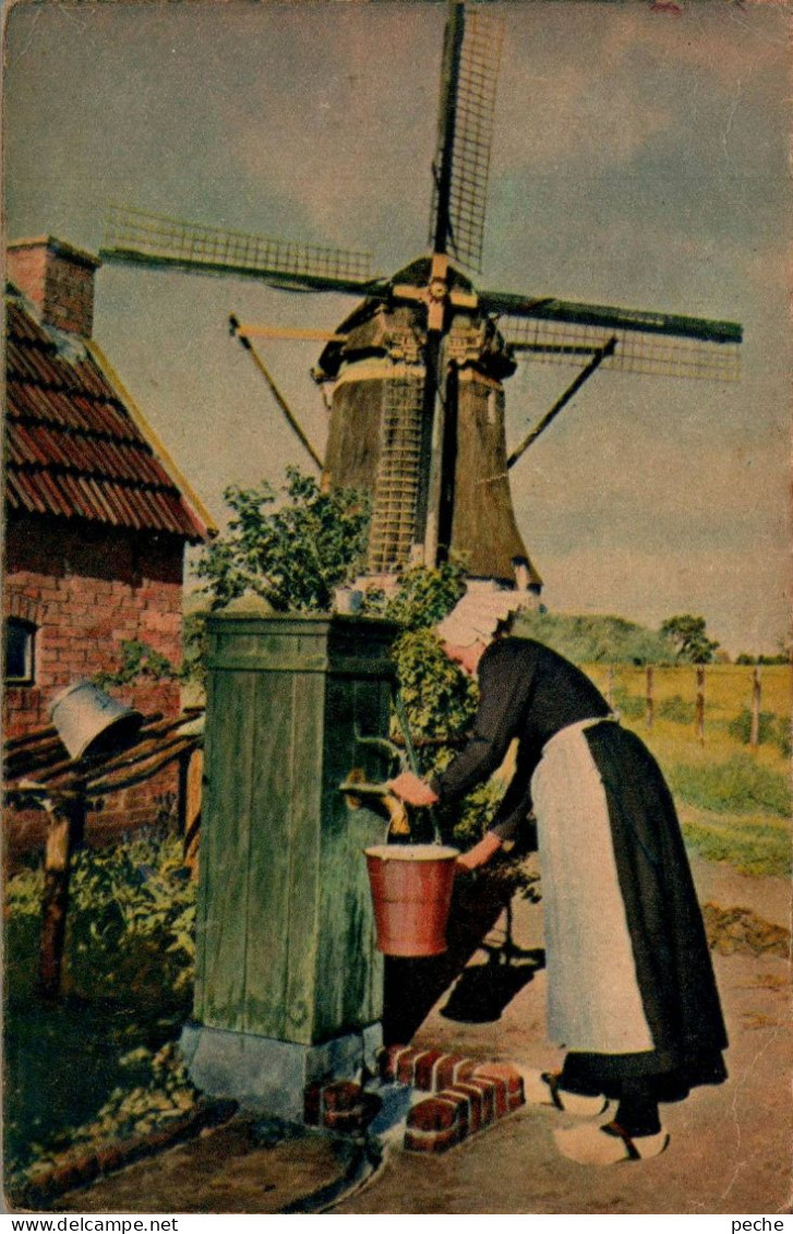 N°481 W -cpa Elspeet -moulin- - Windmühlen