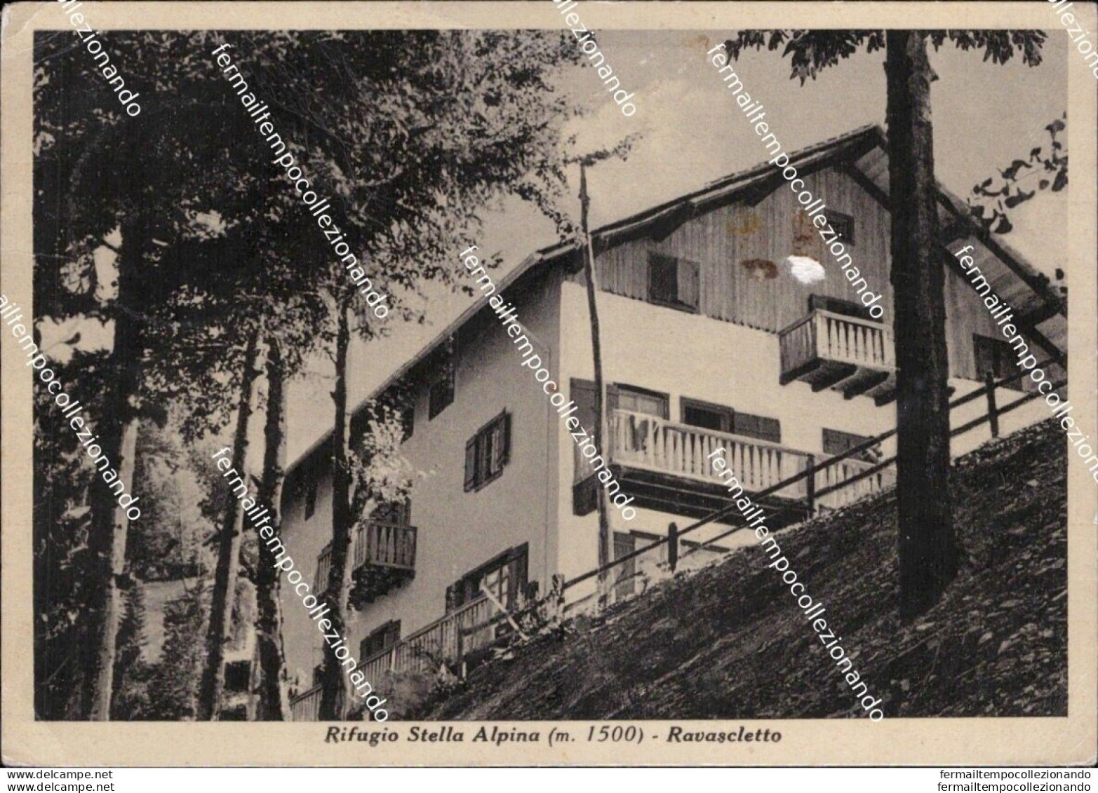 Bl691 Cartolina Rifugio Stella Alpina Ravascletto Provincia Di Udine Friuli - Udine
