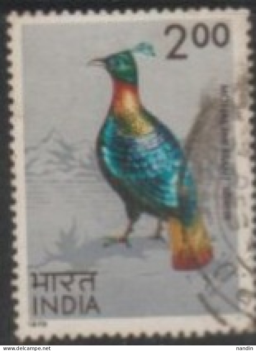 1975 INDIA USED STAMP ON BIRD/ Lophophorus Impejanus-Himalayan Monal - Galline & Gallinaceo