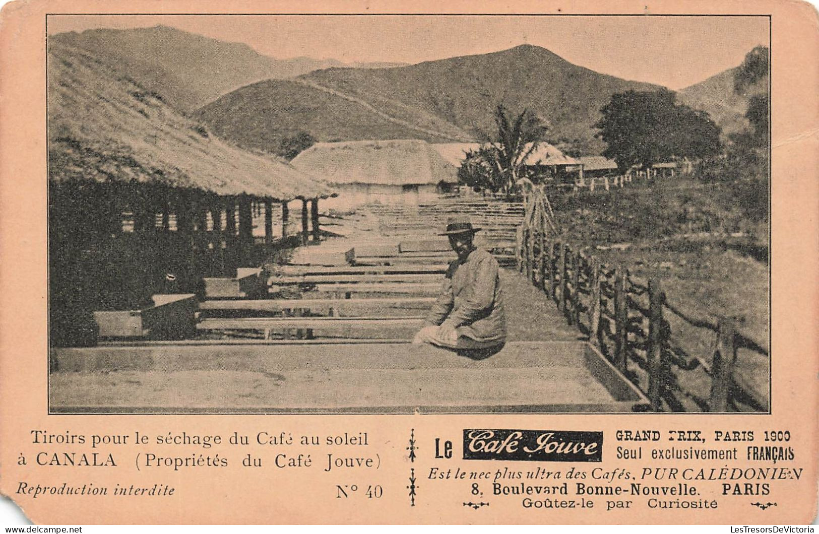 NOUVELLE CALEDONIE - Tiroirs Pour Le Séchage Du Café Au Soleil à Canala - Animé - Carte Postale Ancienne - New Caledonia