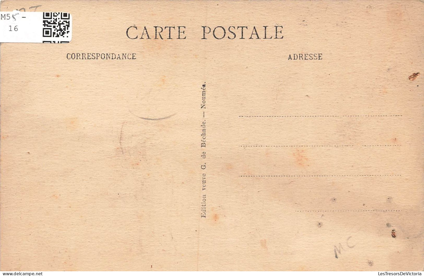 NOUVELLE CALEDONIE - Agricole - Le Café - La Cueillette - Carte Postale Ancienne - New Caledonia