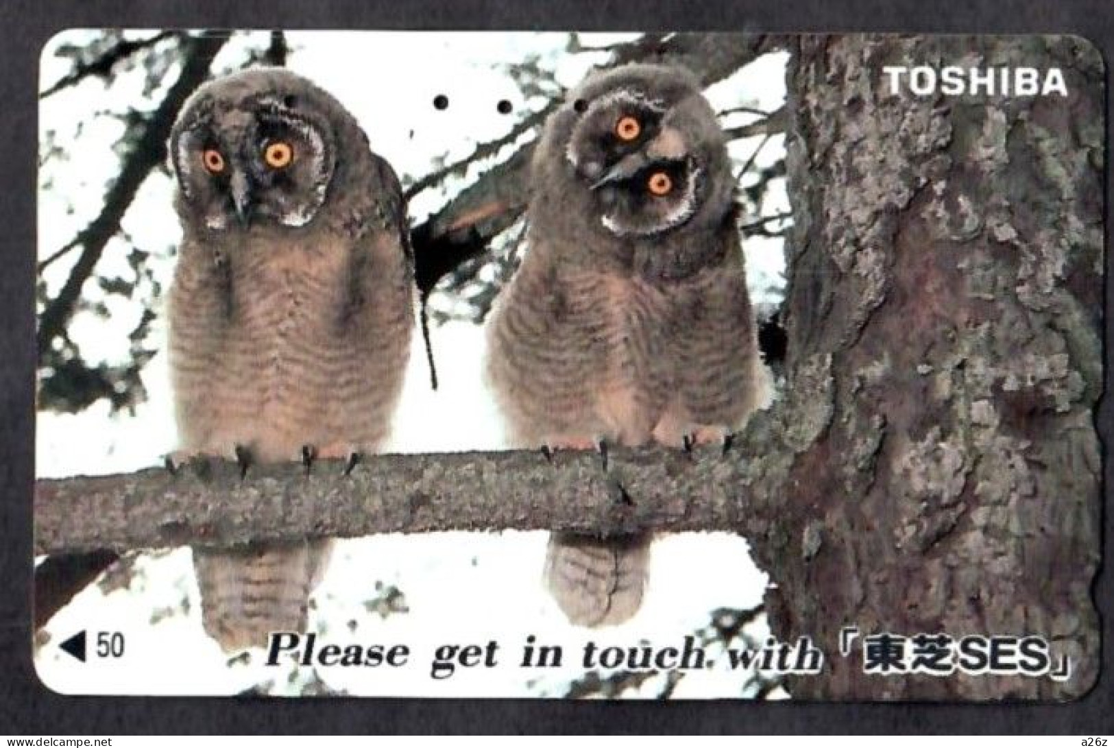 Japan 1V Owls Toshiba Used Card - Hiboux & Chouettes