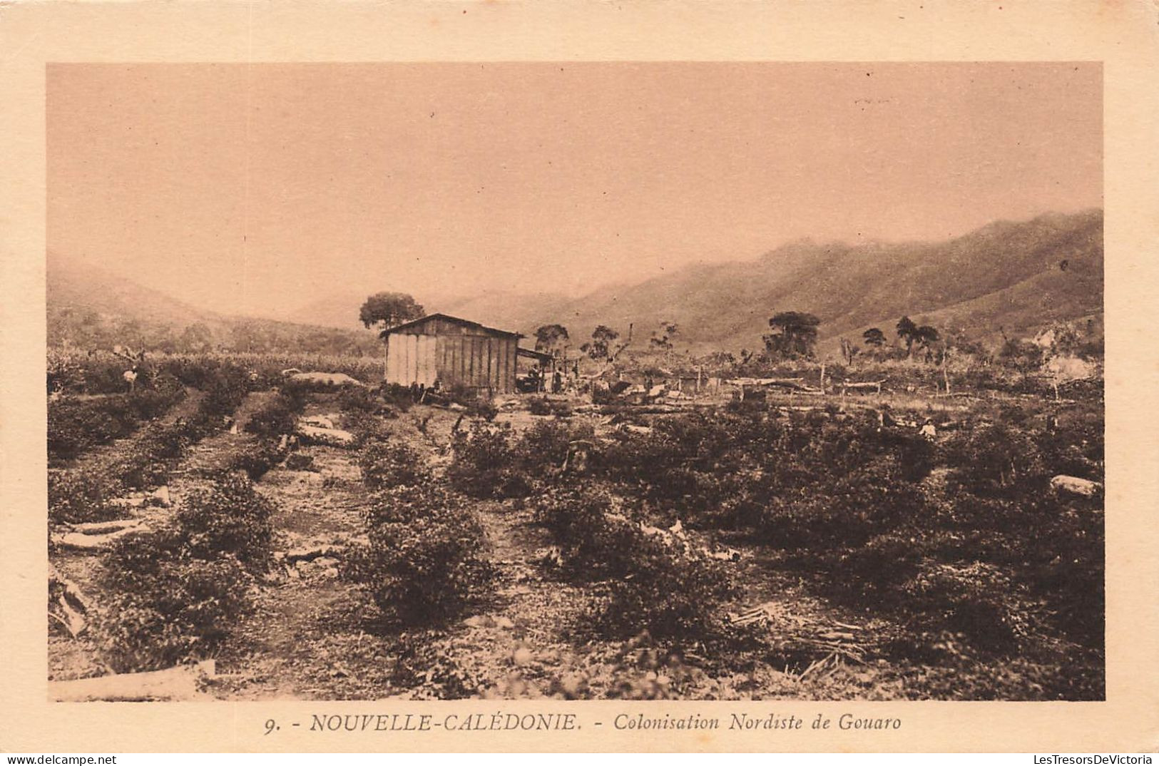 NOUVELLE CALEDONIE - Colonisation Nordiste De Gouaro - Carte Postale Ancienne - Nouvelle-Calédonie