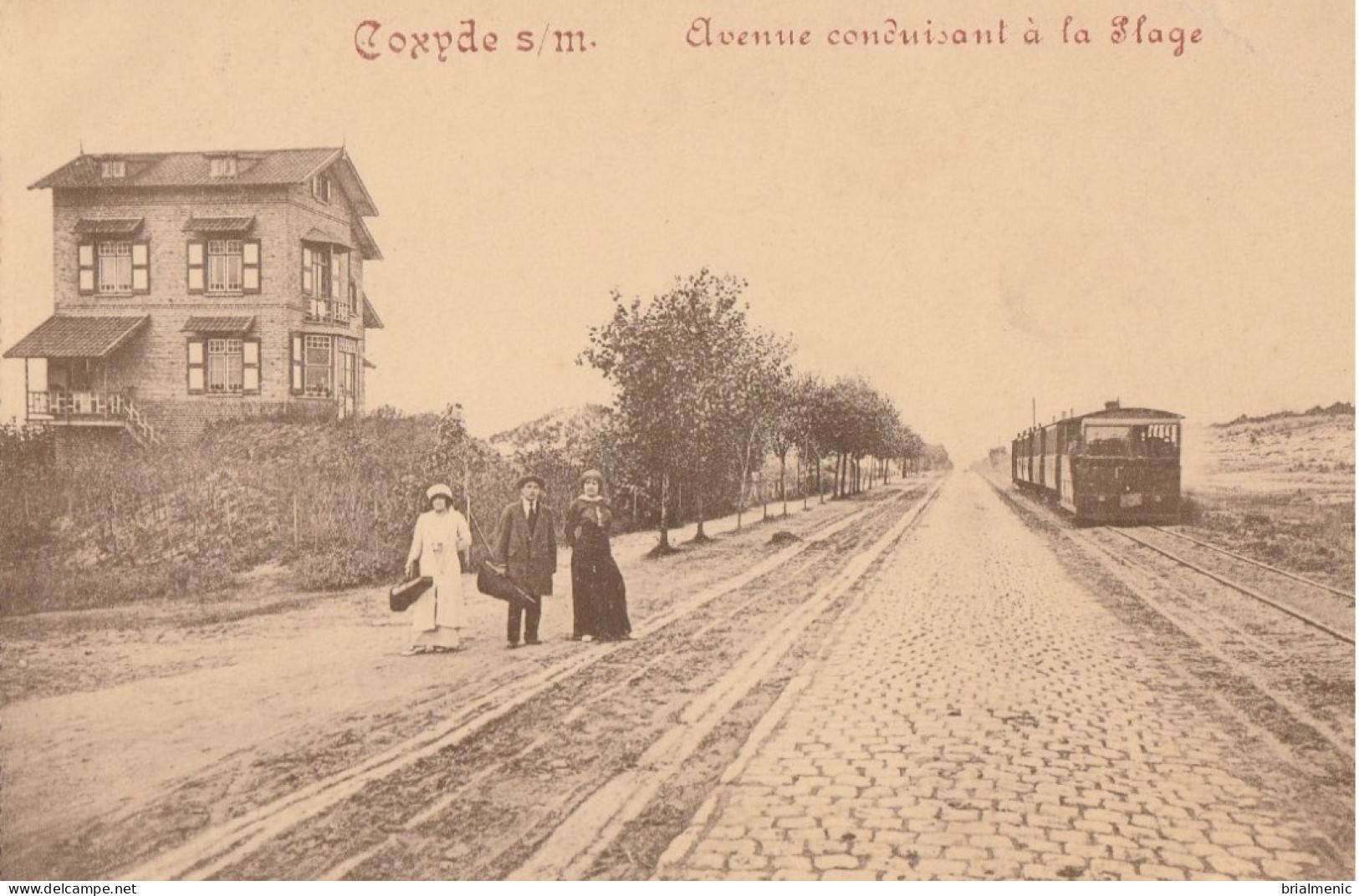 COXYDE  Avenue Conduisant à La Plage - Koksijde