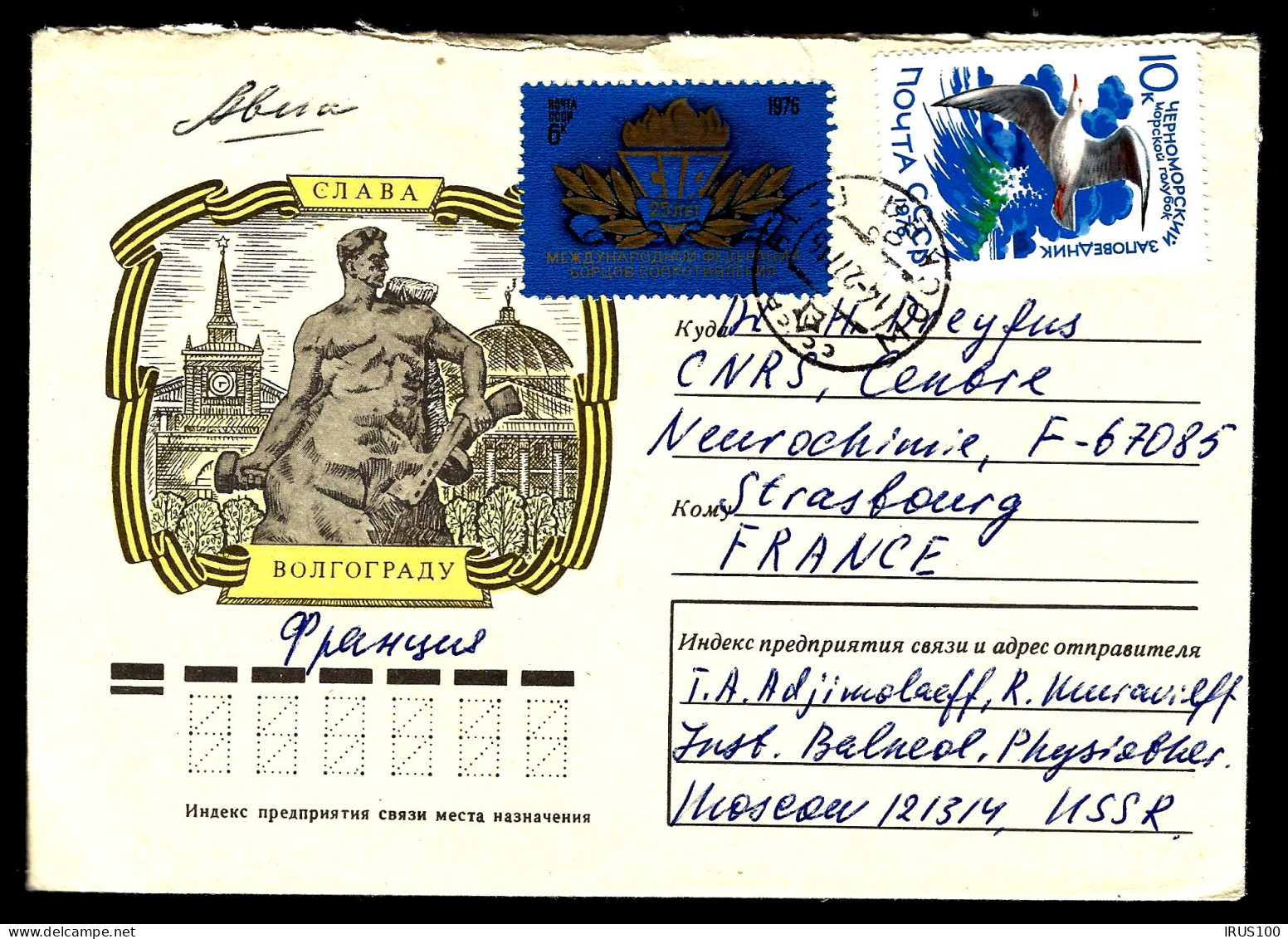 LETTRE D'URSS - 1976 - POUR STRASBOURG - AU THÈME: MOUETTE - Covers & Documents