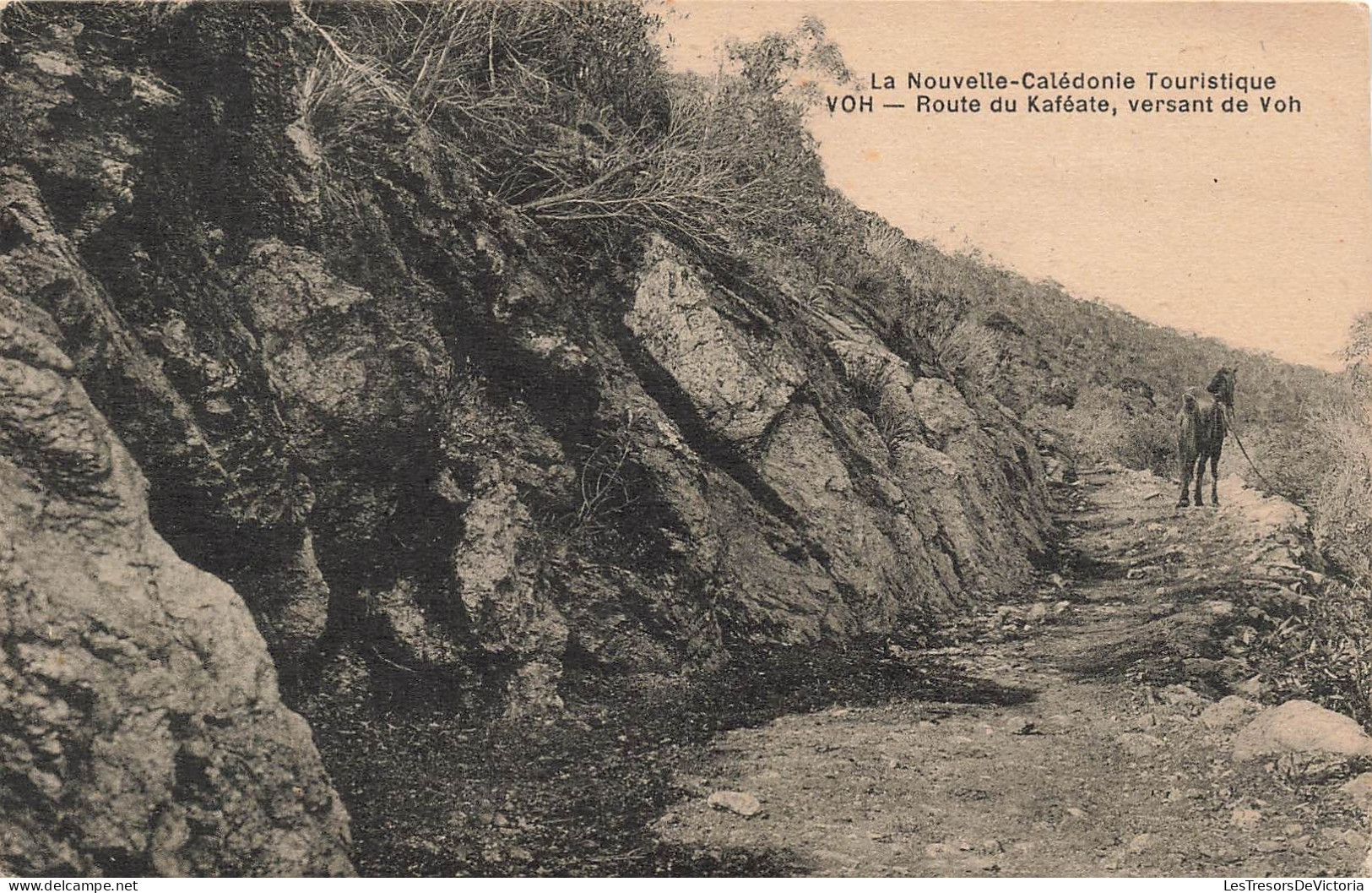 NOUVELLE CALEDONIE - Route Du Kaféate Versant De Voh - Carte Postale Ancienne - Nouvelle-Calédonie