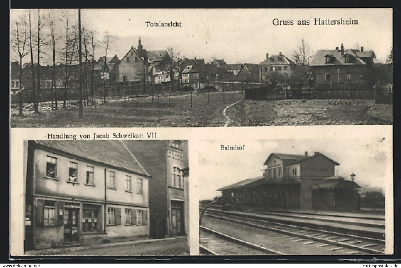 AK Hattersheim, Handlung Von Jacob Schweikart, Bahnhof, Totalansicht  - Hattersheim