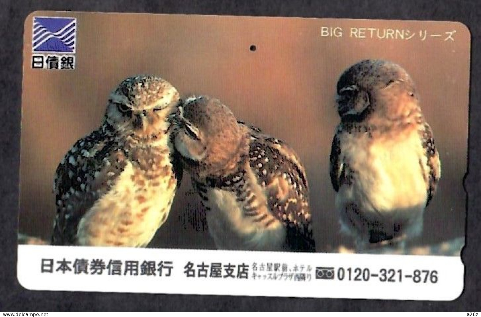 Japan 1V Owls Nippon Credit Bank, Nagoya Branch Advertising Used Card - Eulenvögel