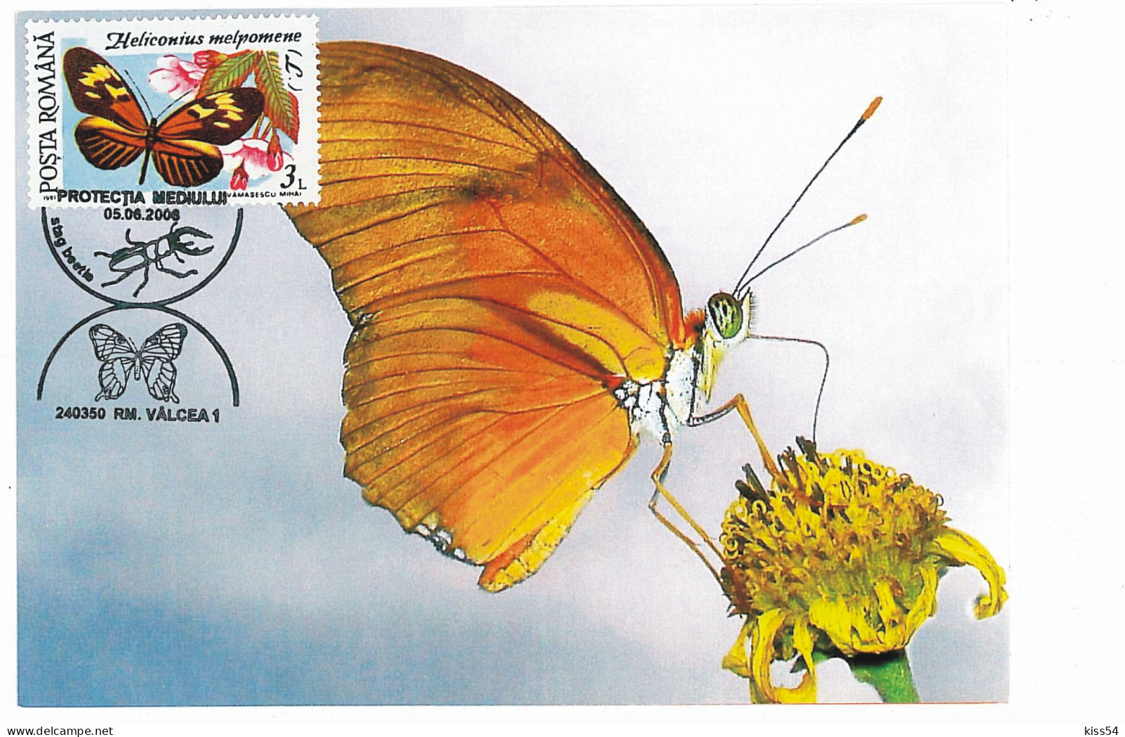 MAX 34 - 132 BUTTERFLY, Romania - Maximum Card - 2006 - Butterflies