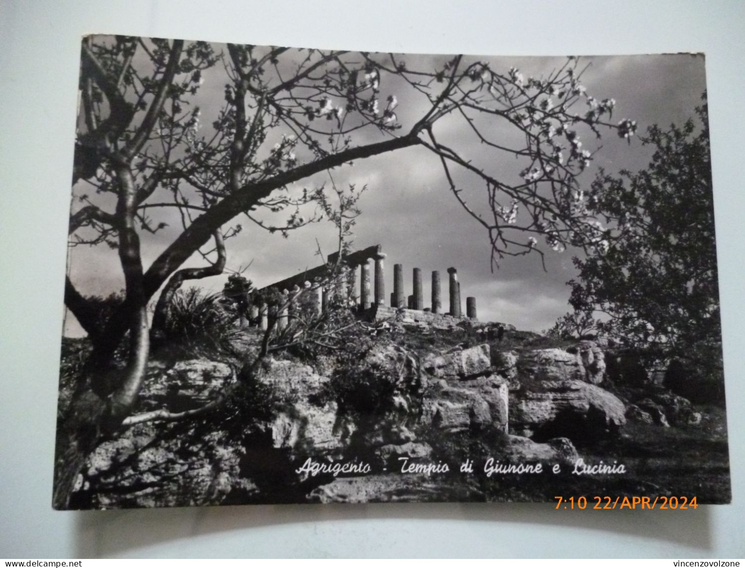 Cartolina Viaggiata "AGRIGENTO  Tempio Di Giunone E Lacinia" 1951 - Agrigento