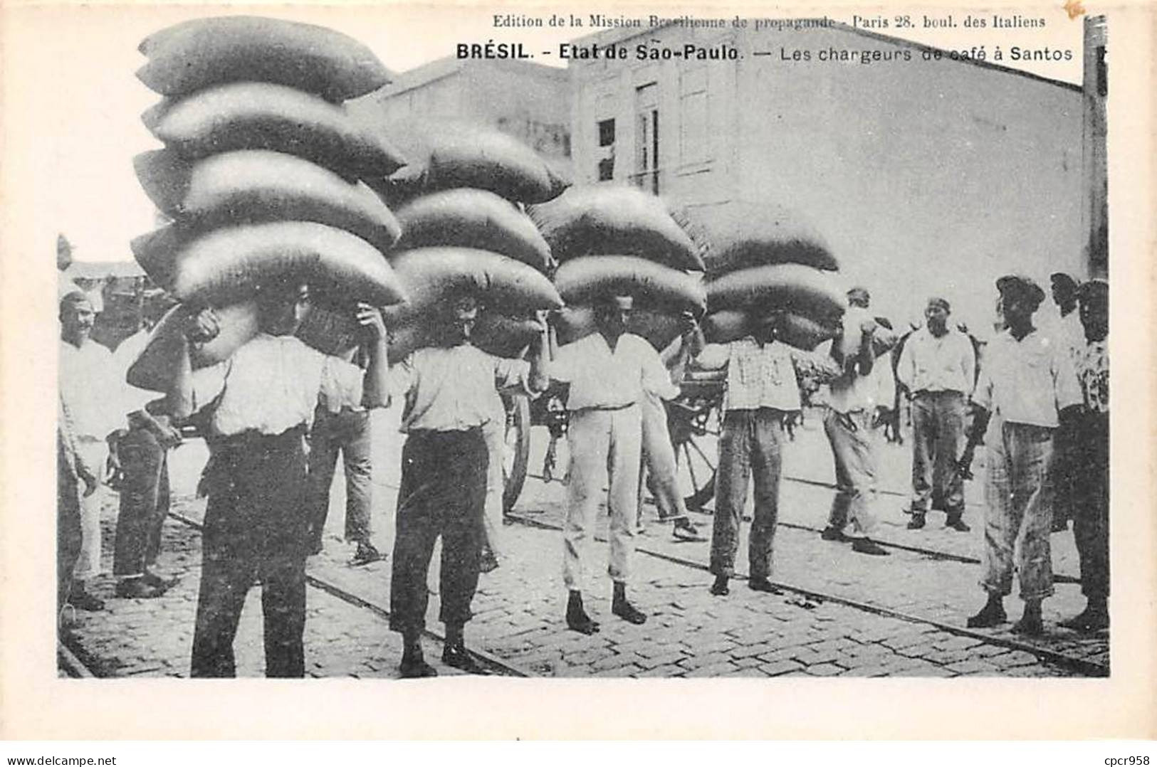 Brésil - N°79923 - SAO PAULO - Les Chargeurs De Café à Santos - São Paulo