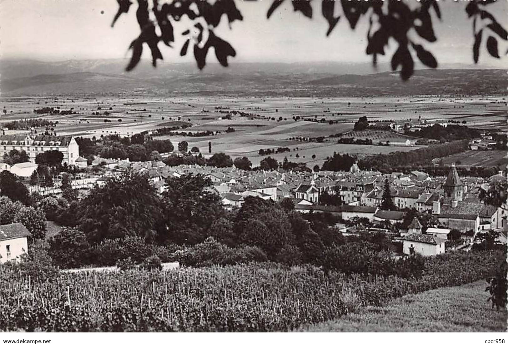 38 - La Côte St André - SAN22771 - Vue Générale Et La Plaine De Bièvre - CPSM 14X9 Cm - La Côte-Saint-André