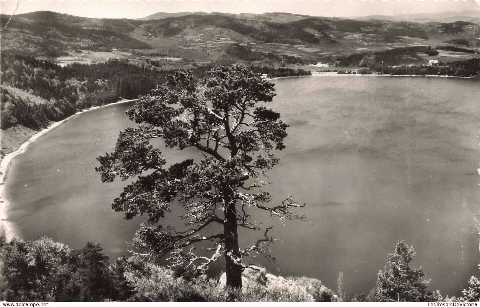 FRANCE - Le Lac D'Issarles - Ardèche - Vue D'ensemble - Alt 1000 M - Carte Postale Ancienne - Largentiere