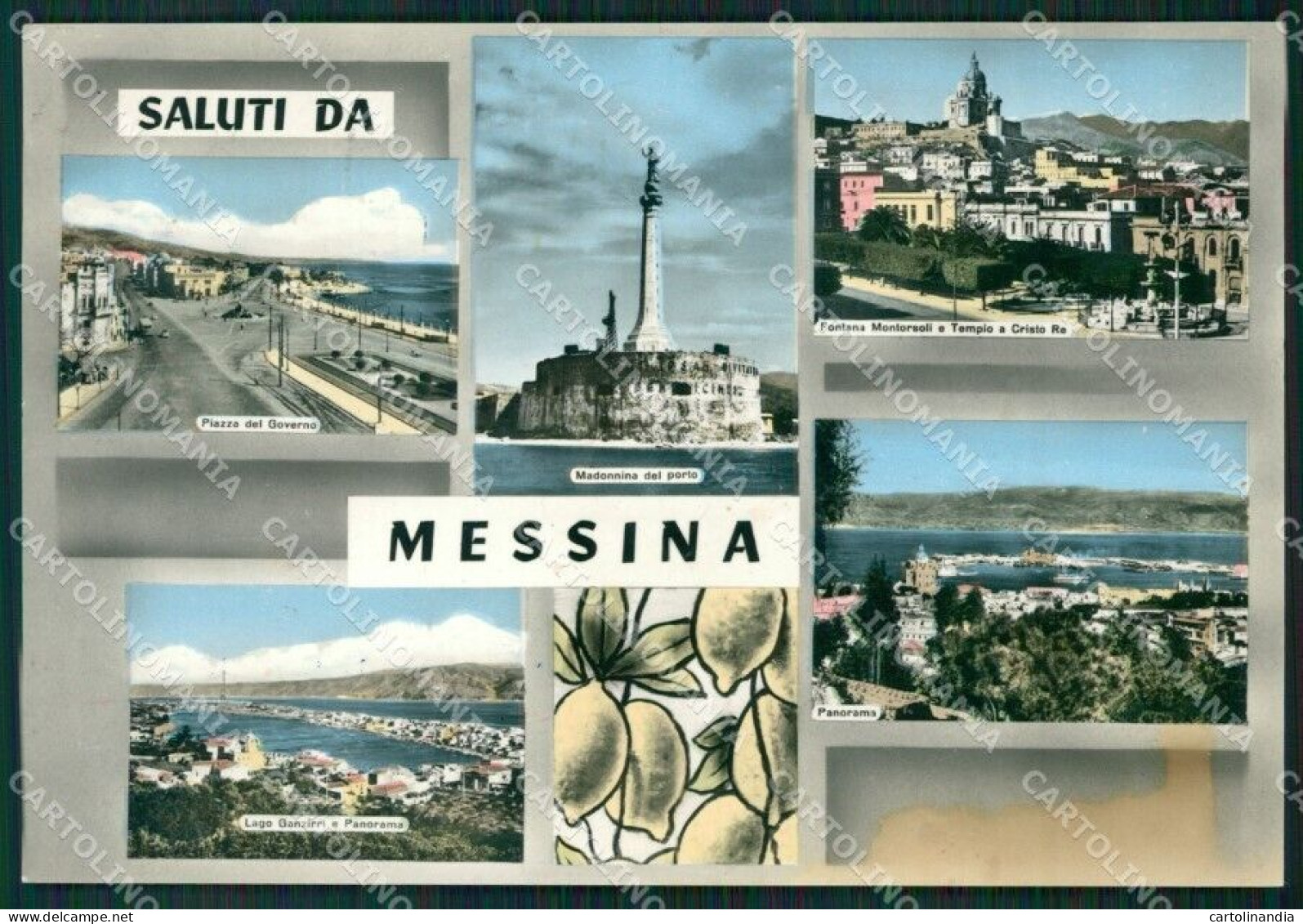 Messina Città Saluti Da MACCHIA Foto FG Cartolina ZKM7723 - Messina