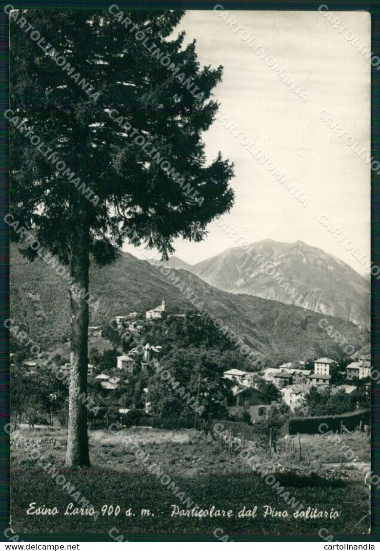 Lecco Esino Lario PIEGHINE Foto FG Cartolina KB3415 - Lecco