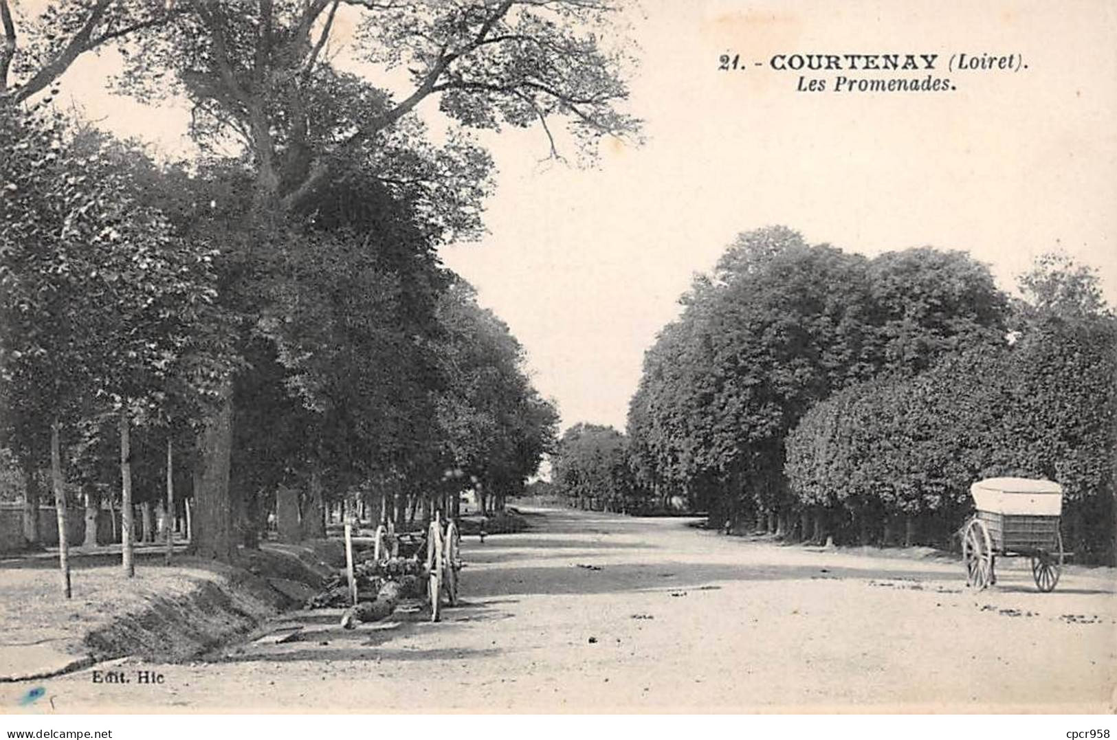 45 - COURTENAY - SAN25431 - Les Promenades - Courtenay