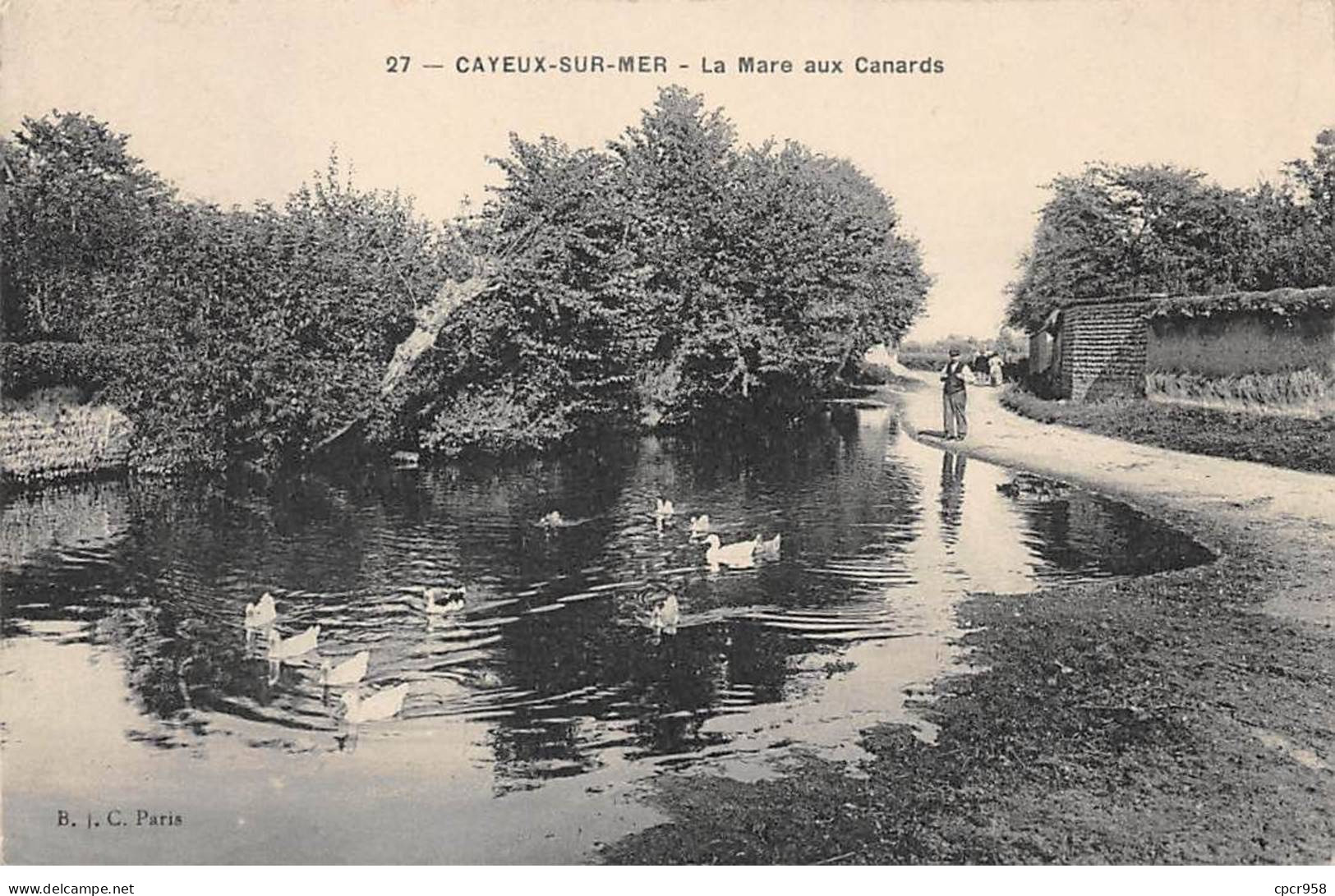 80 - CAYEUX SUR MER - SAN28498 - La Mare Aux Canards - Cayeux Sur Mer