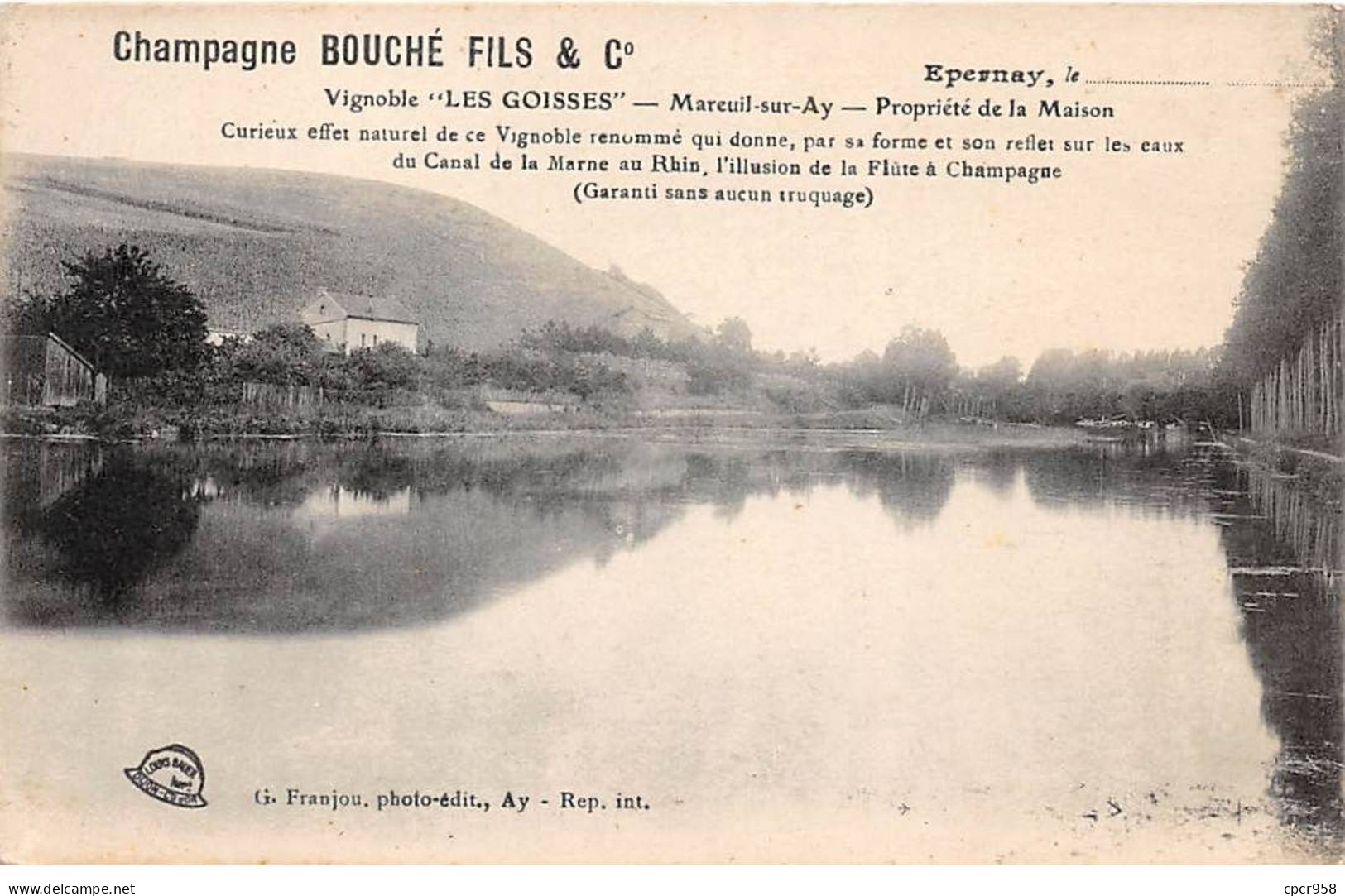 51 - EPERNAY - SAN30656 - Champagne Bouché Fils & Cie - Vignoble "Les Goisses" - Agriculture - Vigne - Epernay