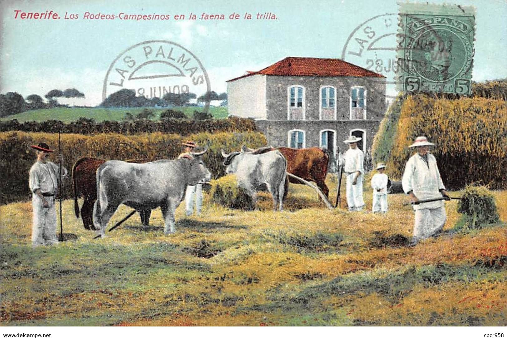 Espagne - N°79413 - TENERIFE - Los Rodeos-Campesinos En La Faena De La Trilla - Tenerife