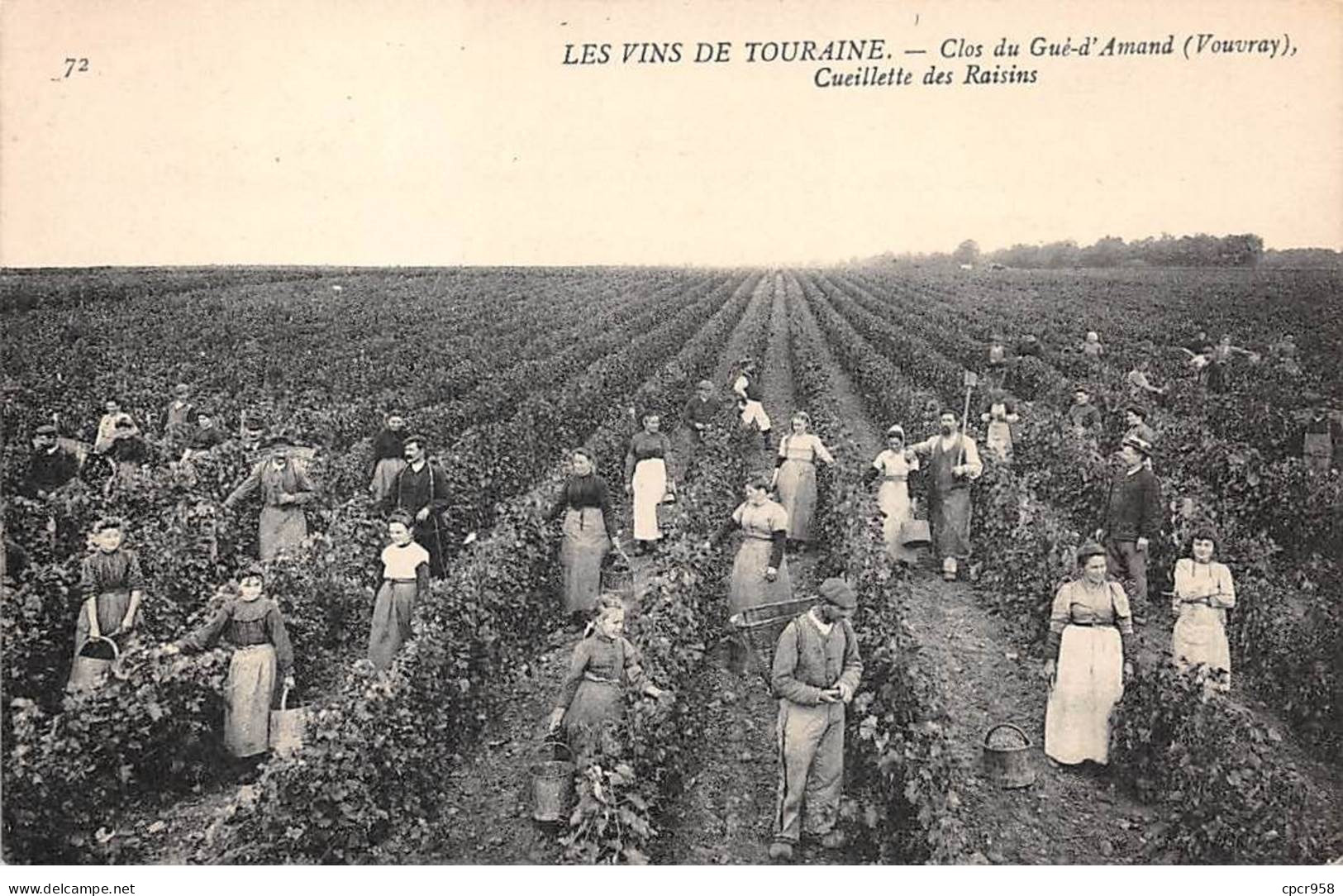 37 - VOUVRAY - SAN33152 - Clos Du Gué D'Amand - Cueillette Du Raisins - Agriculture - Vigne - Métier - Vouvray