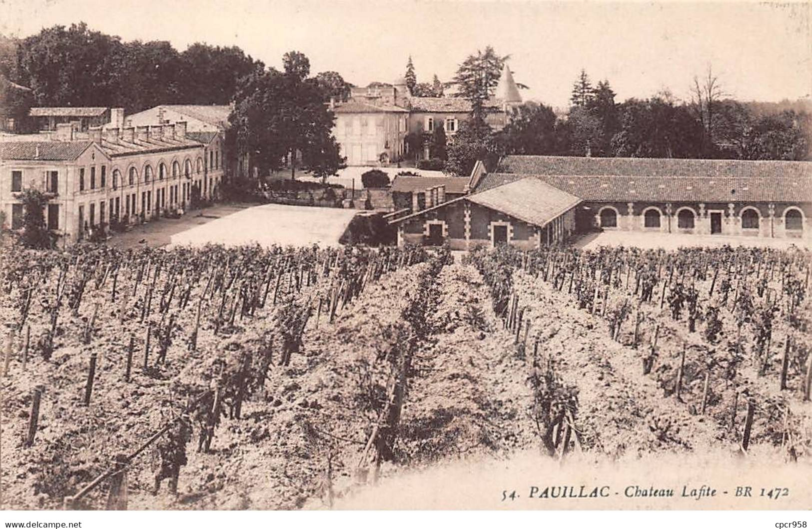 33 - PAUILLAC - SAN33102 - Château Lafite - Agriculture - Vigne - Métier - Pauillac
