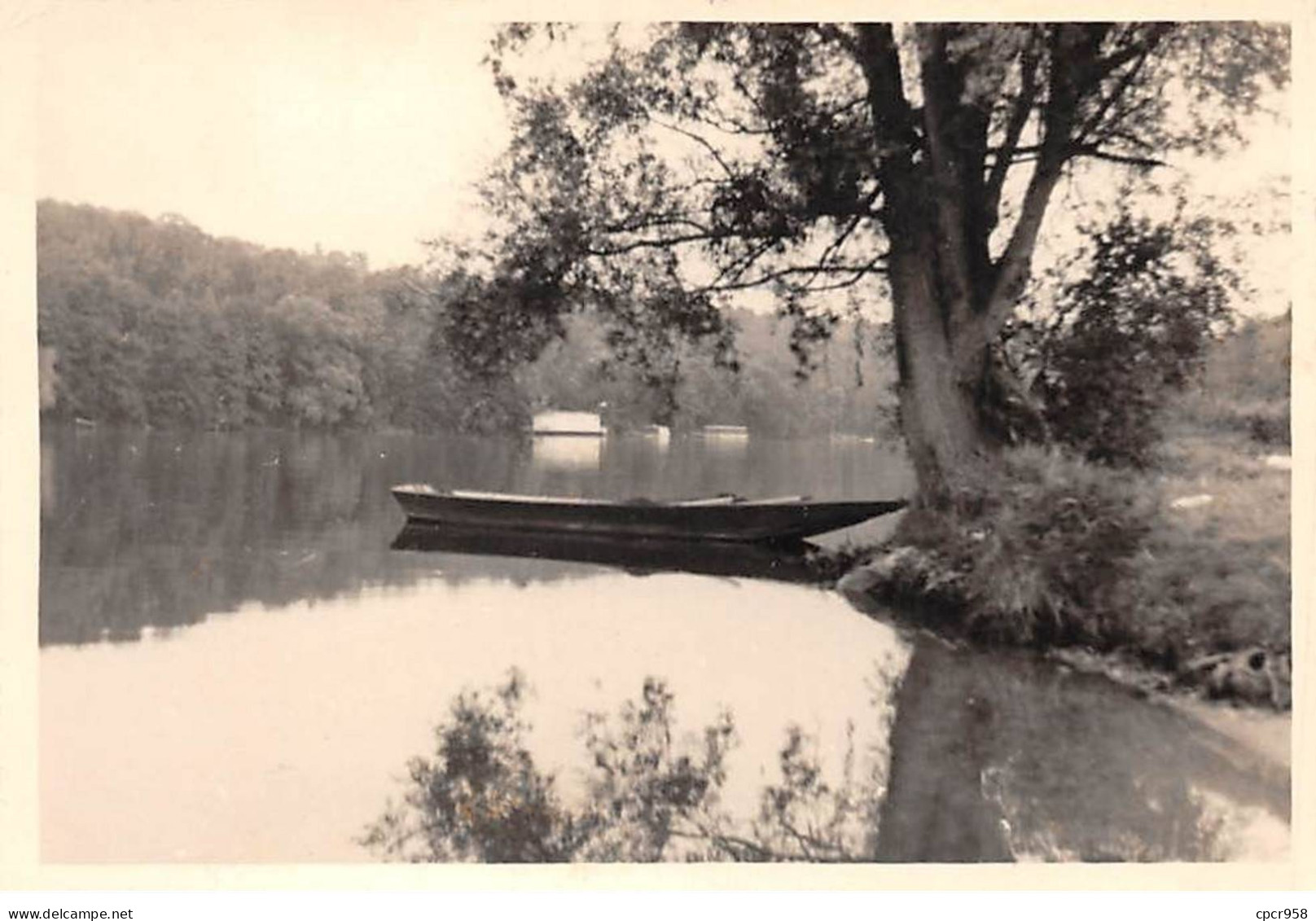 77 - ST FARGEAU - SAN33596 - Vue Générale - Carte Photo - Saint Fargeau Ponthierry