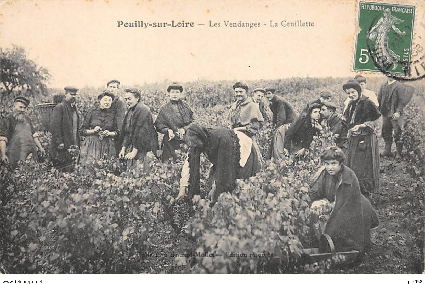58 - POUILLY SUR LOIRE - SAN33305 - Les Vendanges - La Cueillette - Agriculture - Métier - Vigne - Pouilly Sur Loire