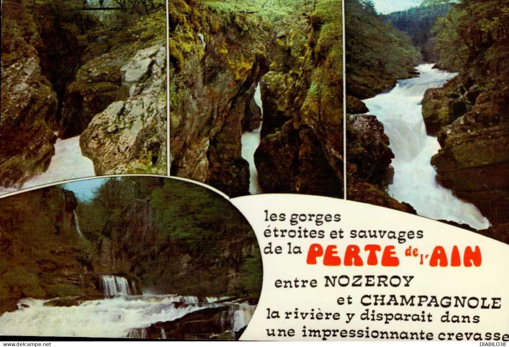 LA PERTE DE L ' AIN ENTRE NOZEROY ET CHAMPAGNOLE     ( JURA )   MULTI-VUES - Champagnole