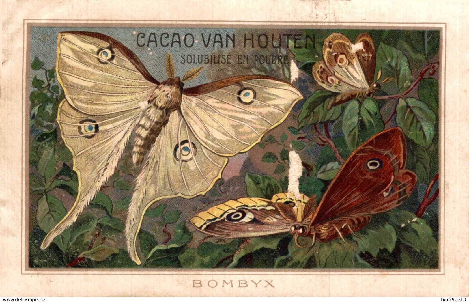 CHROMO CACAO VAN HOUTEN PAPILLONS BOMBYX - Van Houten