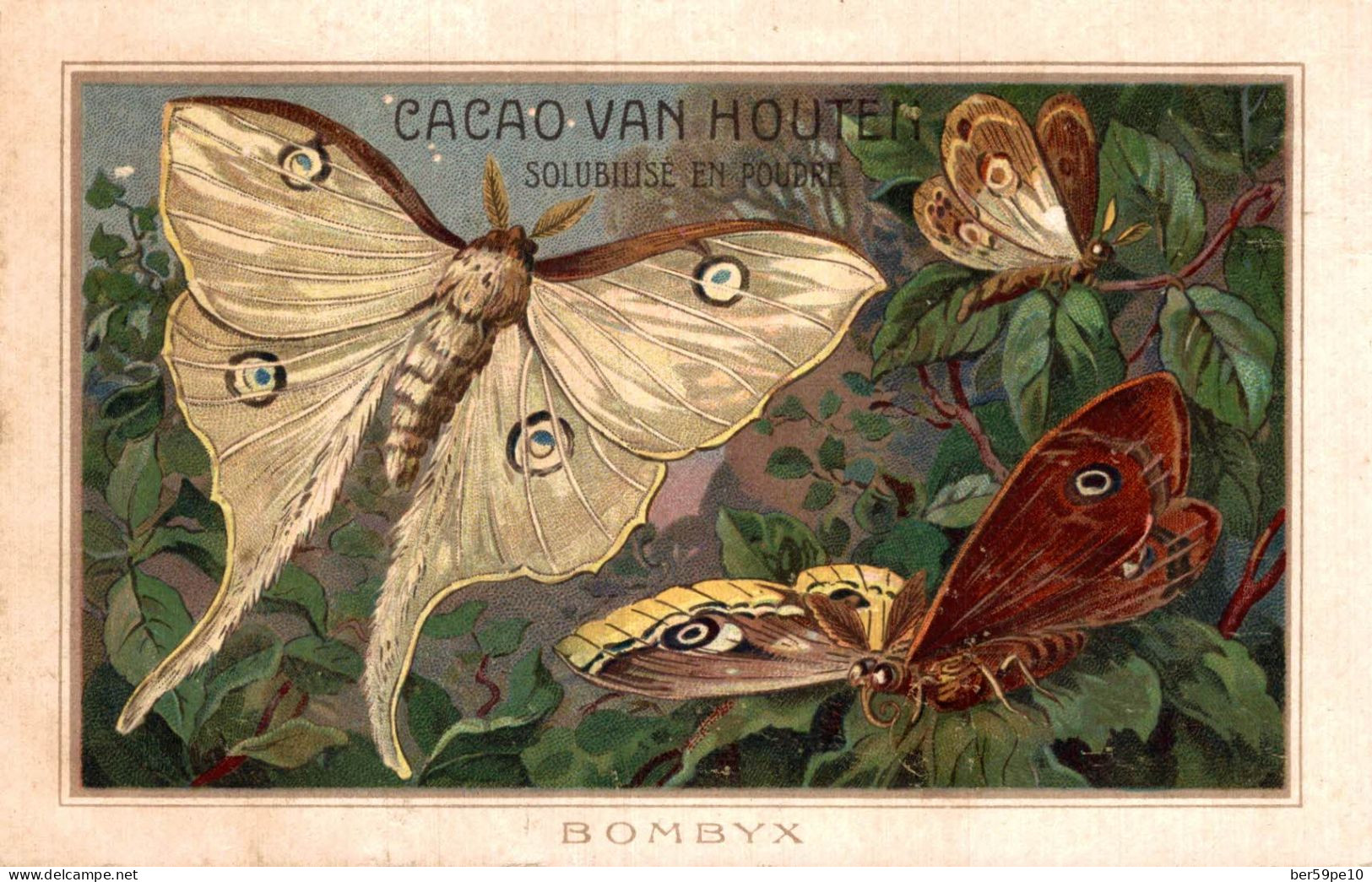 CHROMO CACAO VAN HOUTEN PAPILLONS BOMBYX - Van Houten