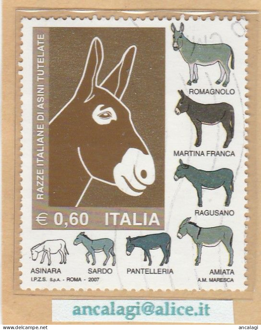 USATI ITALIA 2007 - Ref.1068 "RAZZA ITALIANA DI ASINI" 1 Val. - - 2001-10: Usati